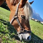 La Casetta Di Biancaneve Valtellina E Di Prázdninový dům