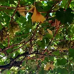 Prázdninový dům La Casetta Di Biancaneve Valtellina E Di