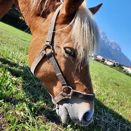 La Casetta Di Biancaneve Valtellina E Di Сasa de vacaciones