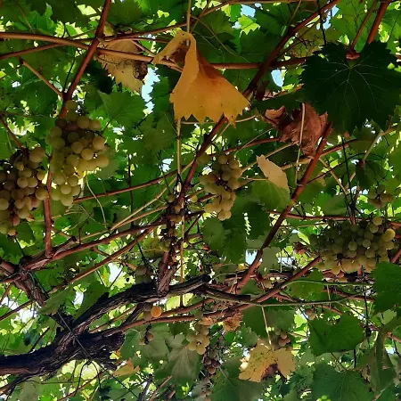 Hébergement de vacances La Casetta Di Biancaneve Valtellina E Di