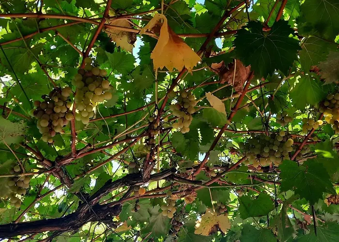 Σπίτι διακοπών La Casetta Di Biancaneve Valtellina E Di